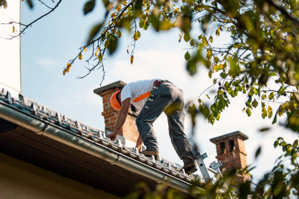 Best Local Roofing Companies  in Parkville, MD