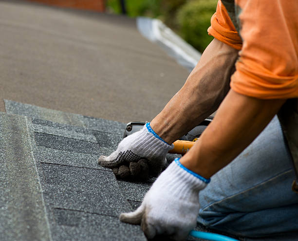 Best Local Roofing Companies  in Parkville, MD