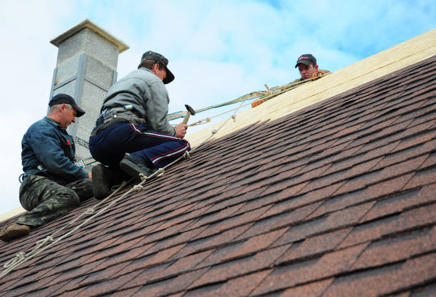 Best Storm Damage Roof Repair  in Parkville, MD